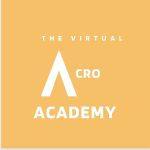 The Virtual Acro Academy