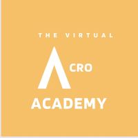 The Virtual Acro Academy ico