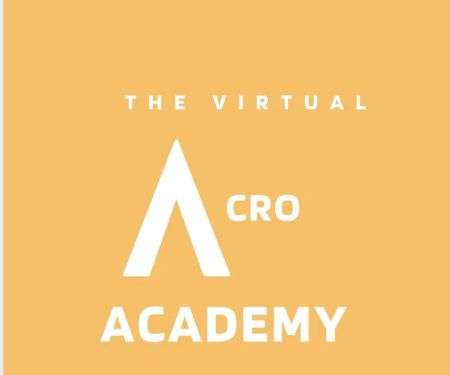 The Virtual Acro Academy