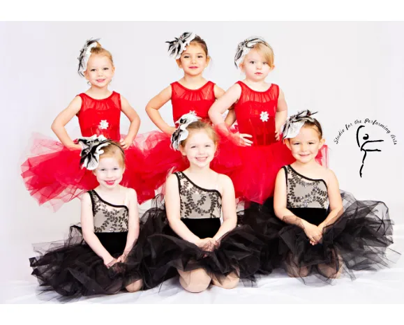 Studio For the Performing Arts Picture 3