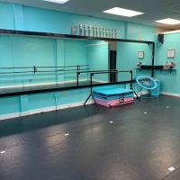 LA PRIMA SCHOOL OF DANCE ico