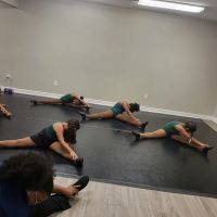Warren Dance Academy, LLC ico