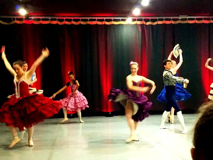 Roanoke Ballet Theatre Inc Picture 4