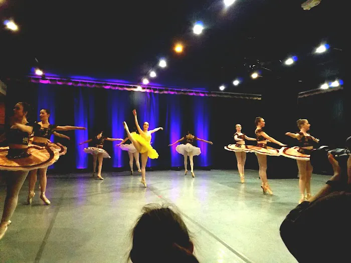Roanoke Ballet Theatre Inc Picture 1