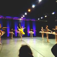 Roanoke Ballet Theatre Inc ico