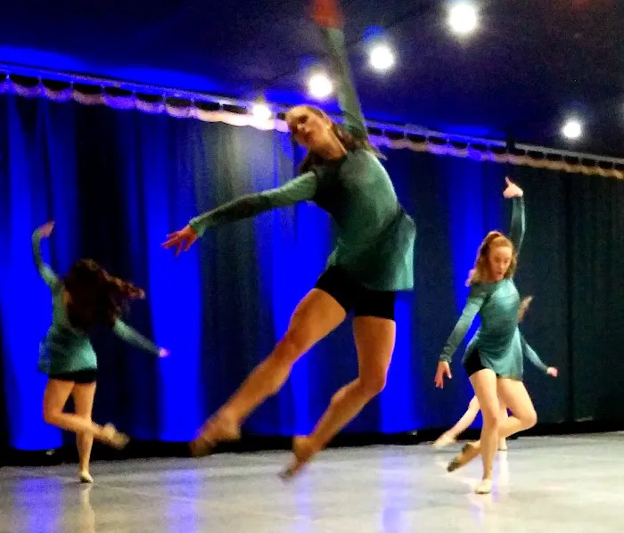 Roanoke Ballet Theatre Inc Picture 6