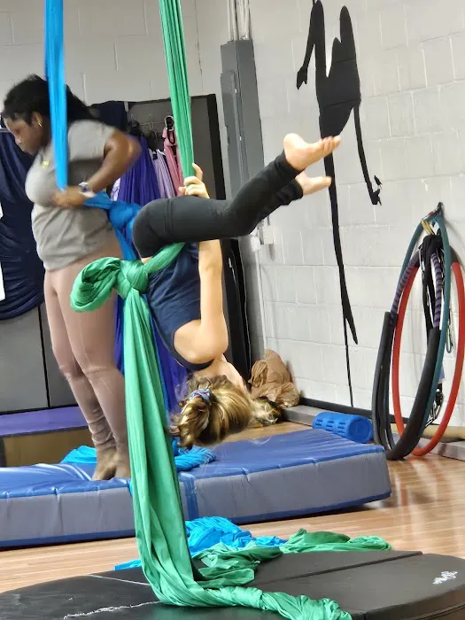 Arete Pole Fitness Picture 2