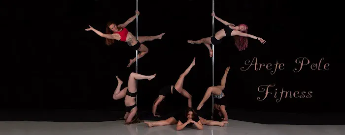 Arete Pole Fitness Picture 1