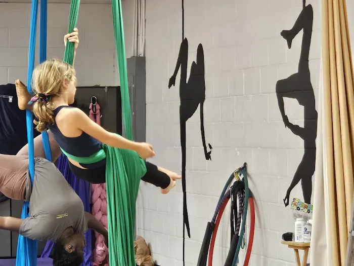 Arete Pole Fitness Picture 5