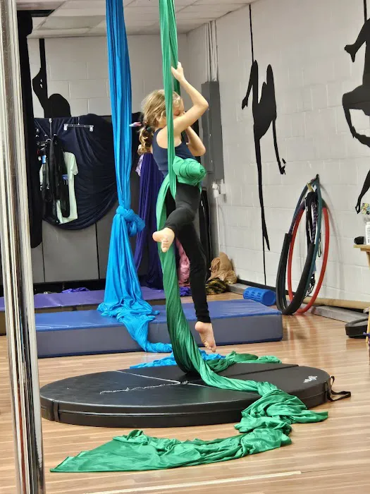 Arete Pole Fitness Picture 10