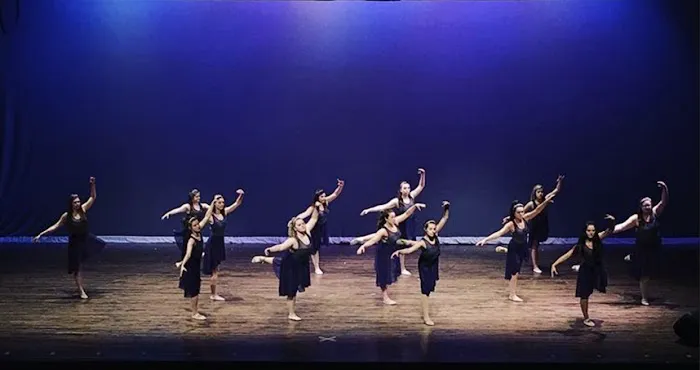 Techniques Studio of Dance Picture 2