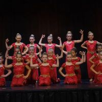 Arts In Motion Dance Center ico