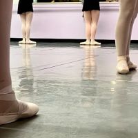 Lake Placid School of Dance ico
