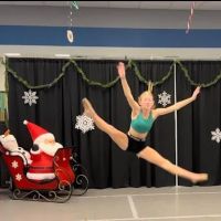Lisas School of Dance ico