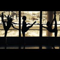 Meneer School of Dance ico