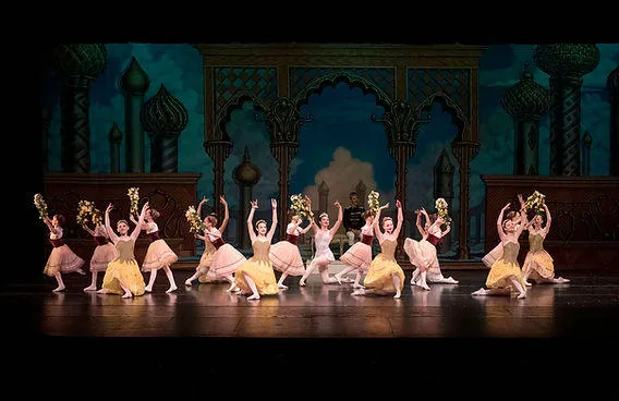Hudson Conservatory of Ballet Picture 5