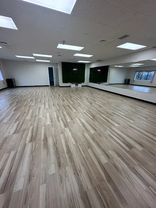 Vibrant Velocity Dance Academy Picture 6