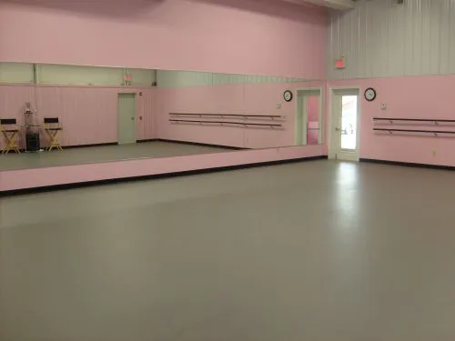 PACE - Performing Arts Connection & Education Picture 2
