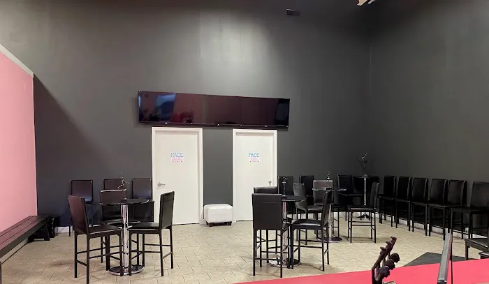 PACE - Performing Arts Connection & Education Picture 3