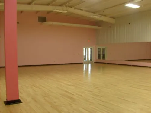 PACE - Performing Arts Connection & Education Picture 5