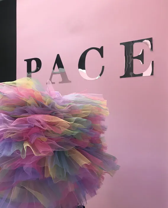 PACE - Performing Arts Connection & Education Picture 6