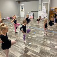 Miss Bellerina's School of Dance ico