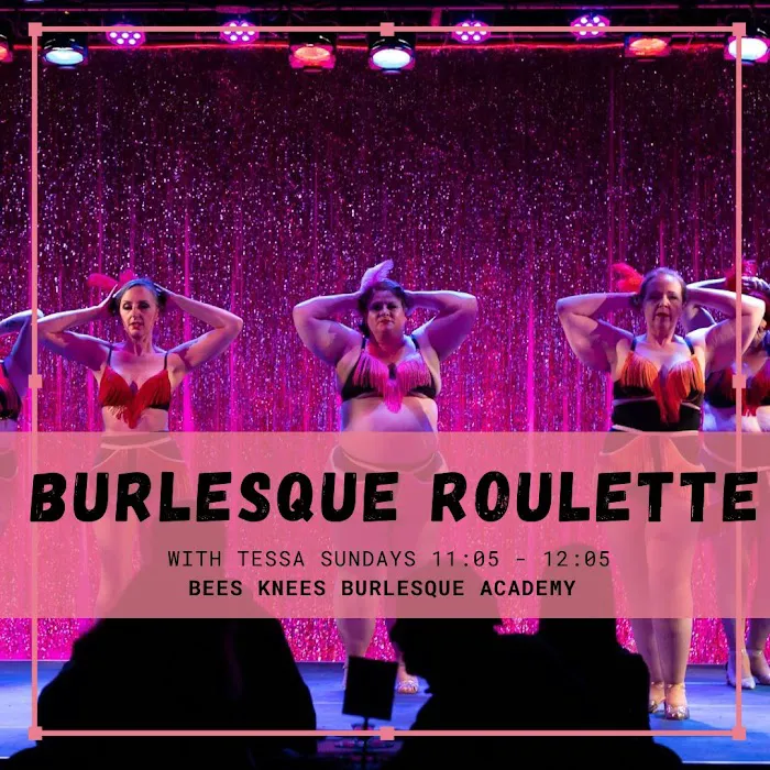 Bees Knees Burlesque and Pole Academy Picture 3