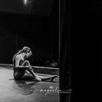Signature Dance Studio ico