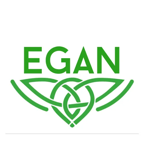 Egan Irish Dance School Picture 2
