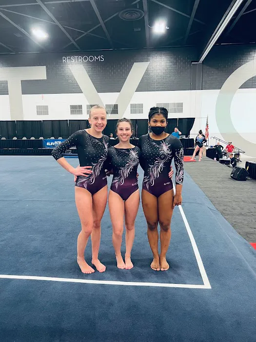 Lakeshore Dance & Gymnastics Picture 2