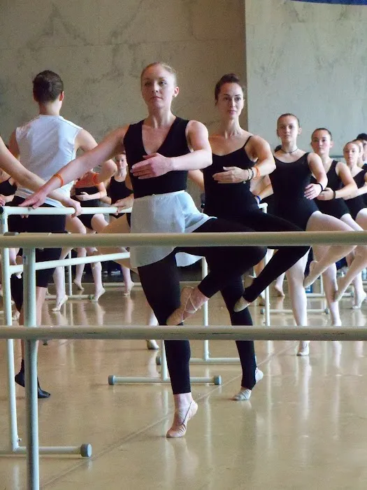 Mid-Ohio Valley Ballet Company Picture 9