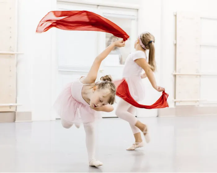 The Ballet Academy Picture 4