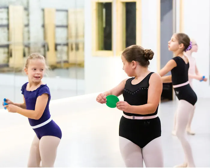 The Ballet Academy Picture 5