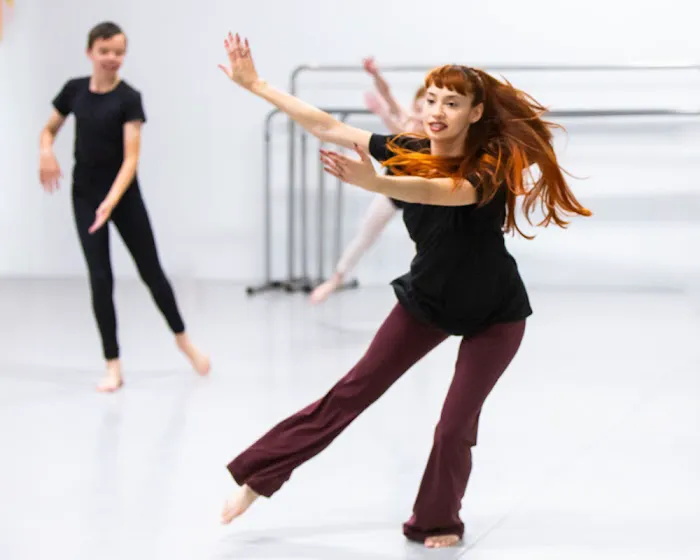 The Ballet Academy Picture 8
