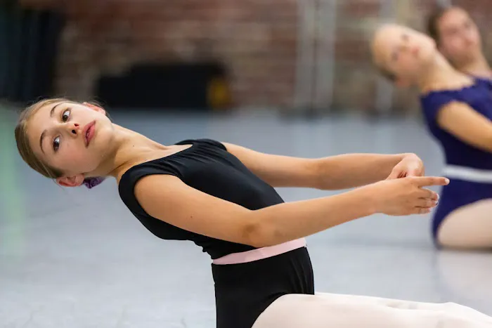 The Ballet Academy Picture 7