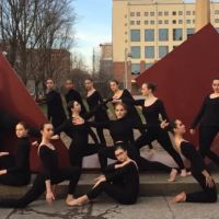 Rae's Institute of Dance ico