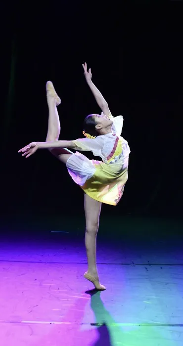LingYun Rising Star Dance Cultural Center Picture 2