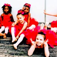 Shaker Dance Academy ico