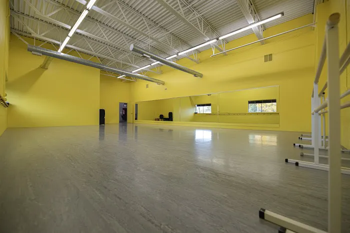 Savelli's Dance & Martial Arts Picture 3
