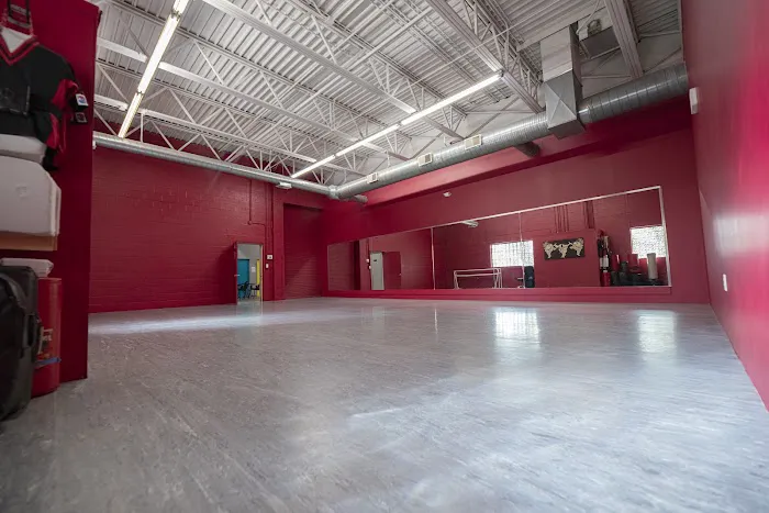 Savelli's Dance & Martial Arts Picture 7