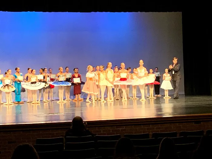 The ML Dance Academy Picture 4