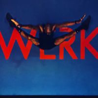 Werk Dance Fitness ico