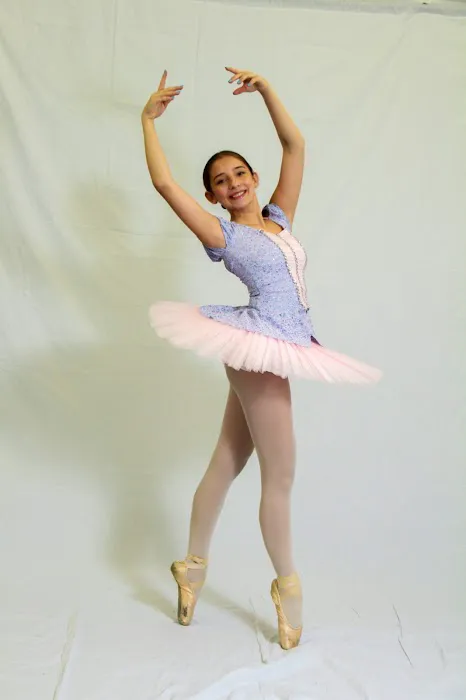 Limitless Performing Arts Complex Picture 7