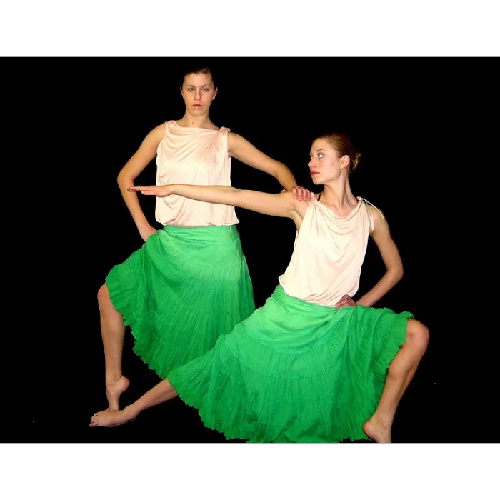 Dance Arts Studios & Center of Movement Studies Picture 1