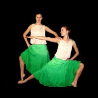 Dance Arts Studios & Center of Movement Studies ico