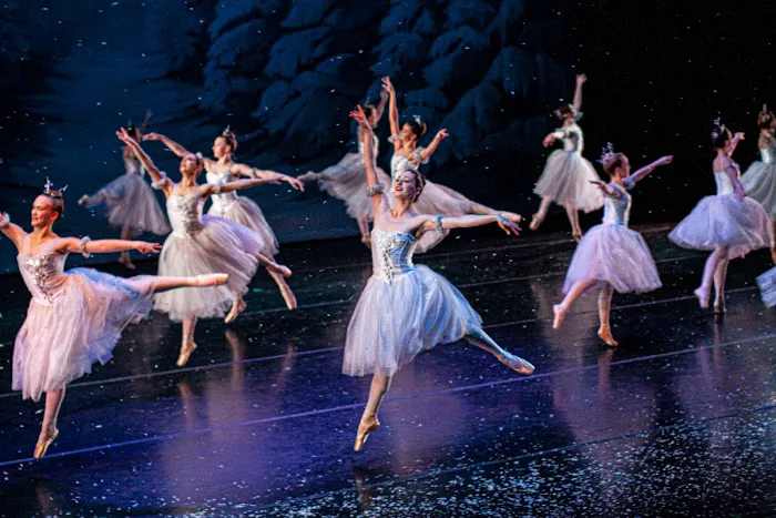 Syracuse City Ballet Picture 1