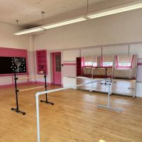 Leaping Willow Academy ico