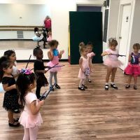 Rhythm & Grace Dance Studio ico