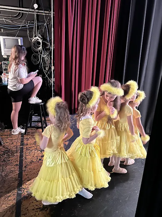 ABBA Dance Ohio Picture 5