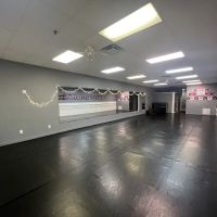 Red Dance Company ico